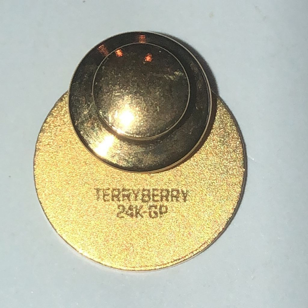Terryberry 24K GP Gold Plated Women Of The Church Of God Life Member Pin - Picture 4 of 7